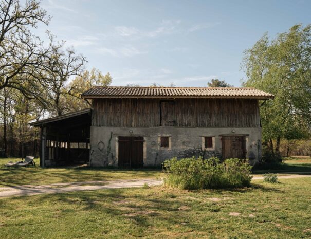 Entre Chênes et Pins - Grange